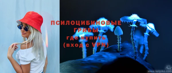дурь Балахна
