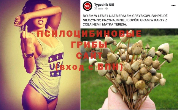 дурь Балахна