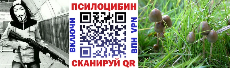 Псилоцибиновые грибы прущие грибы  где купить наркотик  Лесосибирск 